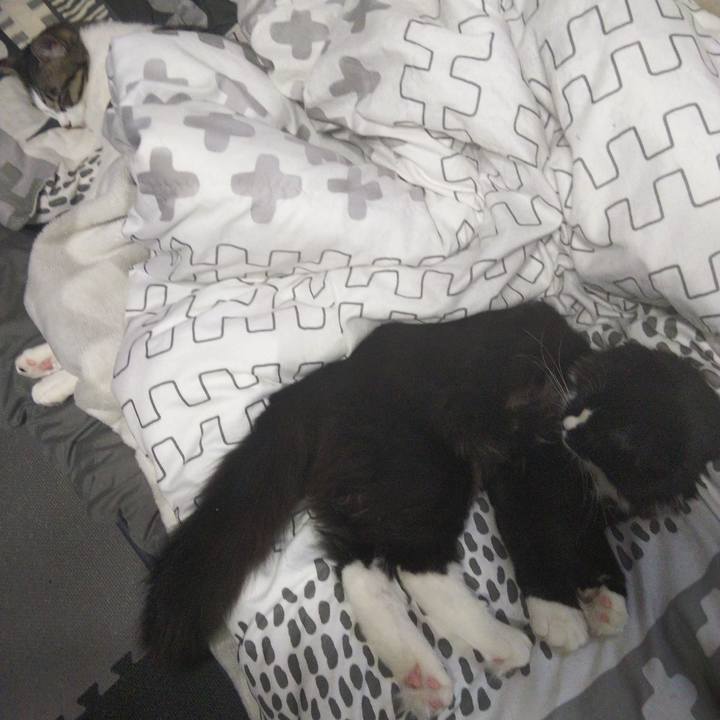 46bc0a6e b001 4716 82b1 7ff127c3ef79 1647735070895