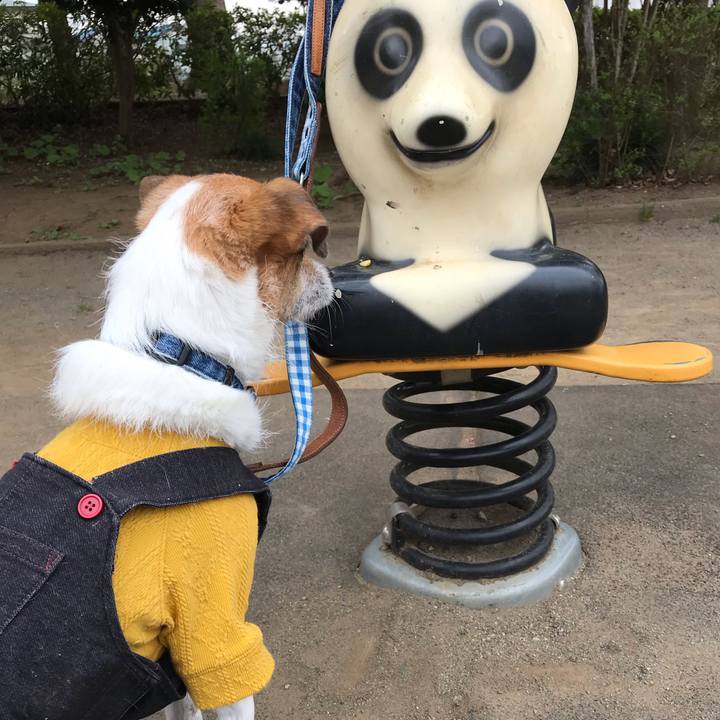 46bc1d64 e4c7 4b64 b80e 0c9b14c1d3b2 1553760602577