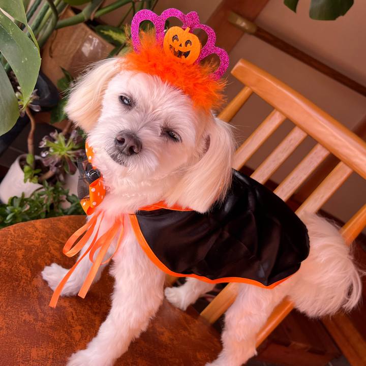 46bc466e a26c 4105 8773 8486fe414563 1667131958793