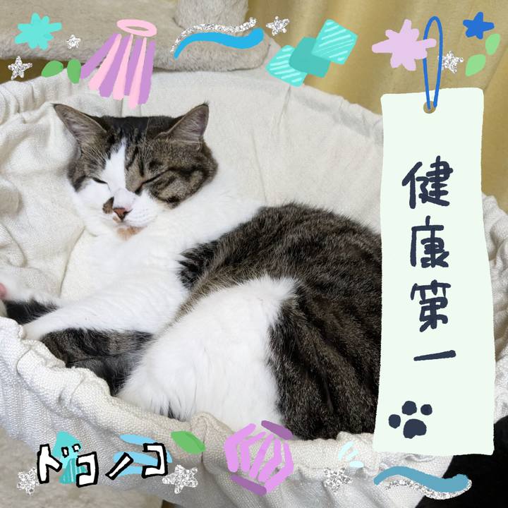 46bcb3f5 e764 466b 93eb bb15bb2a9a69 1720851361714