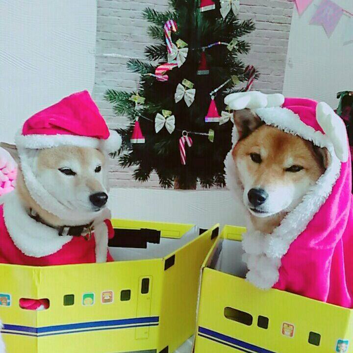 46bd9583 3dc2 4860 9422 7cb1e4522021 1576839574199