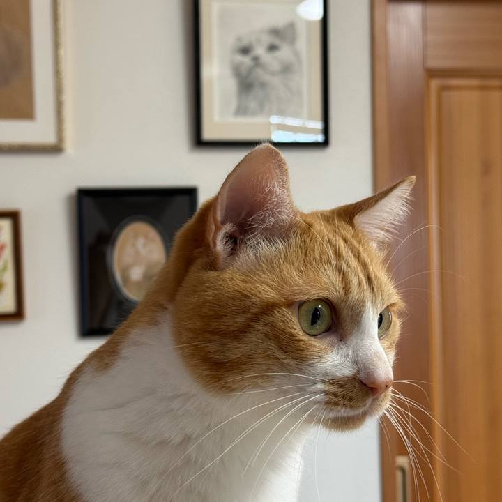 46bd9732 82b9 4947 b4d3 22420a0184ea 1758593532966