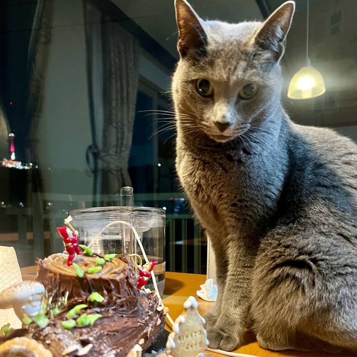 46bda6d2 63fc 4ed2 b686 a61d28ad8433 1703420998998