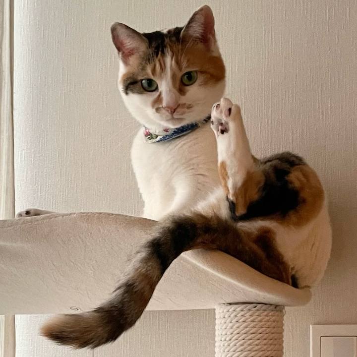 46bdac3d 57b3 4a60 b90a b4bf0873fd7d 1712893606780