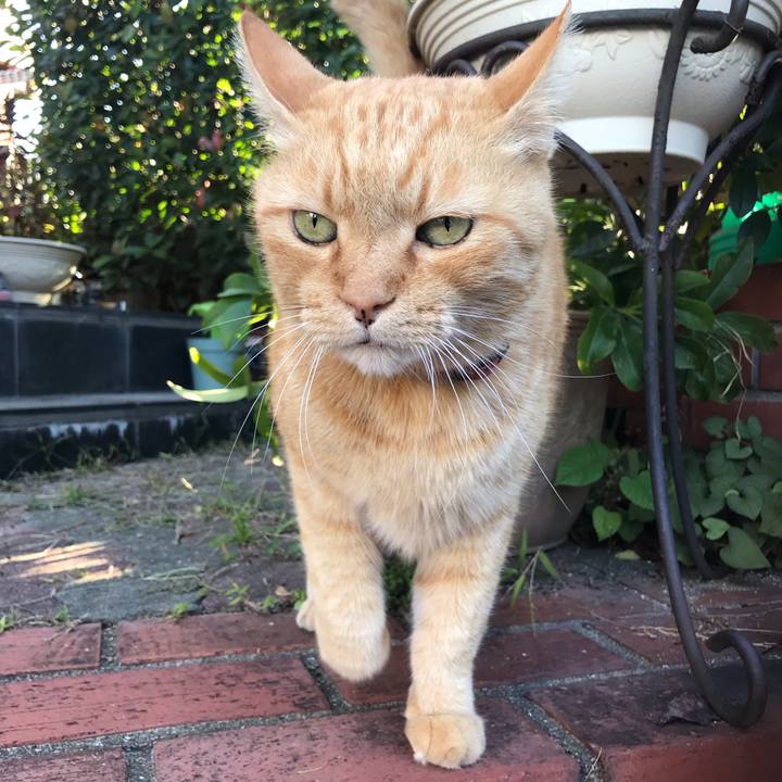 46bdd859 474b 4a6e b4f0 2f7089fa7ac7 1538002871425