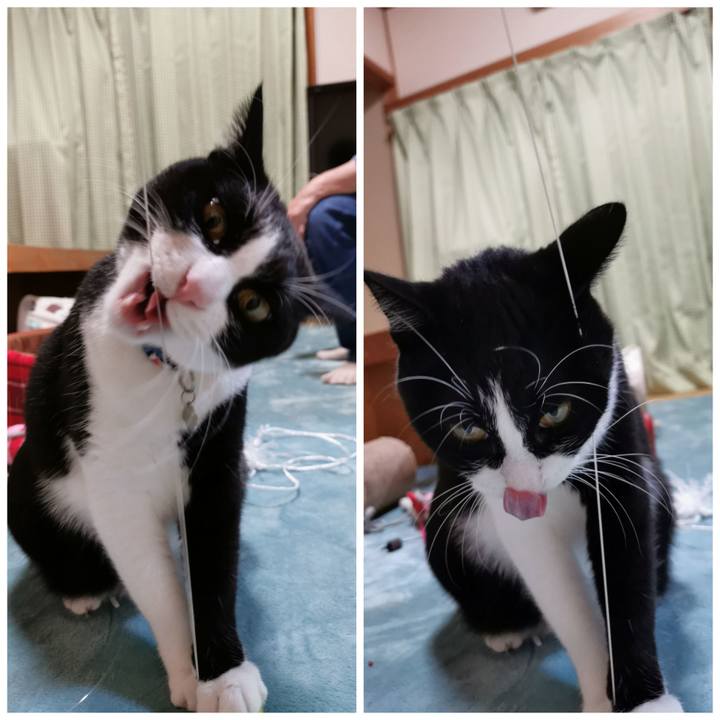 46be22b0 abd4 4fe1 a4fe 219cc632d83a 1634872852305