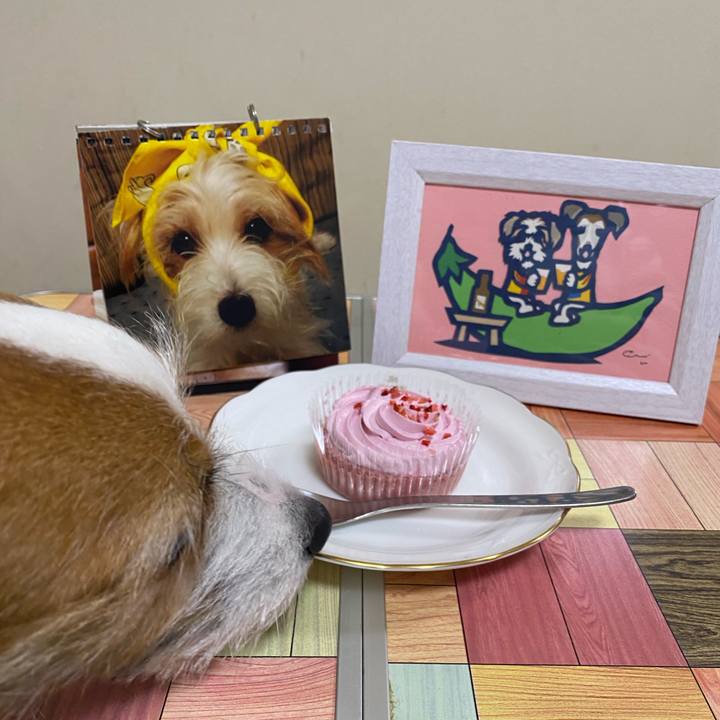 46be379f 119c 4648 89e6 7257918f903c 1772366041590