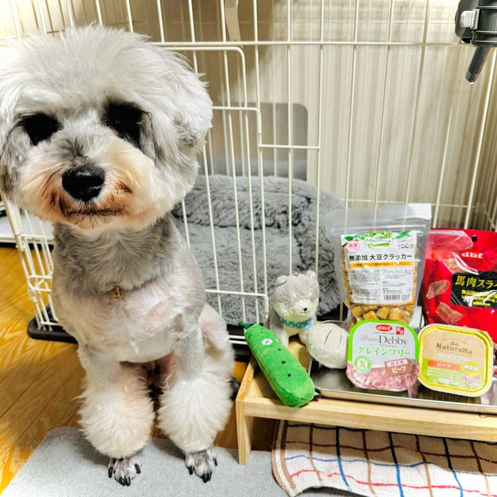 46be3885 d4e5 4c1b ab07 235196214056 1712927726816