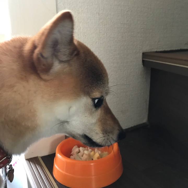 46be77cf 5c3a 40e5 914a 618eb25fa325 1530703315854