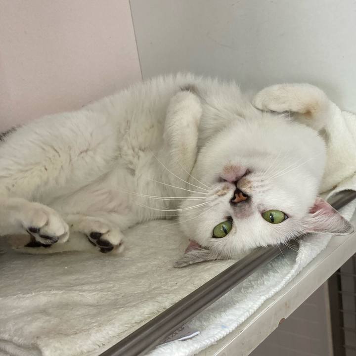 46be8670 a9b6 4d3a 93e0 4971bb736168 1652913588404