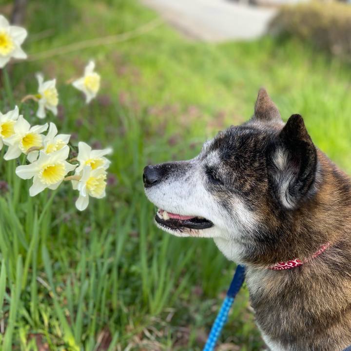 46bea2be b510 4986 aa0d ba7292160b2e 1712787426811