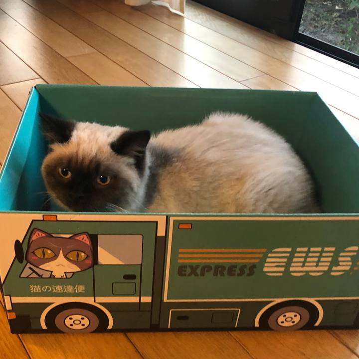 46beb3c6 e6d0 4e13 bacd e629183fe4fa 1591613911979