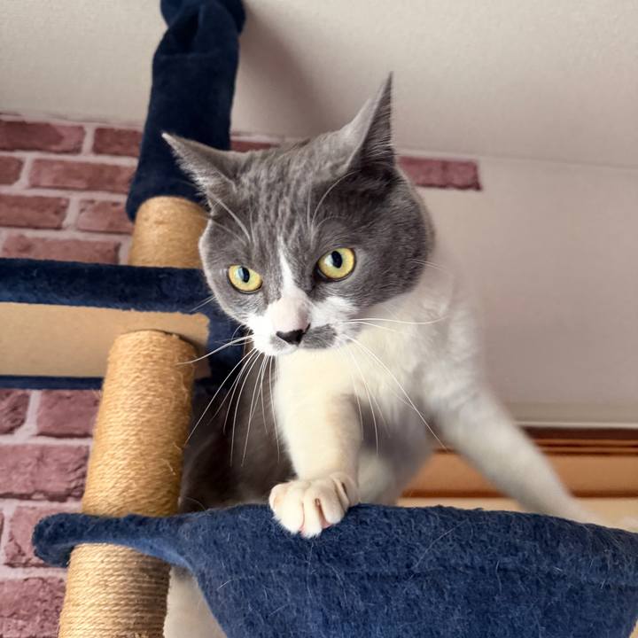 46bec5d1 02a4 471e 9bc4 50e483ea1fdf 1772150028225