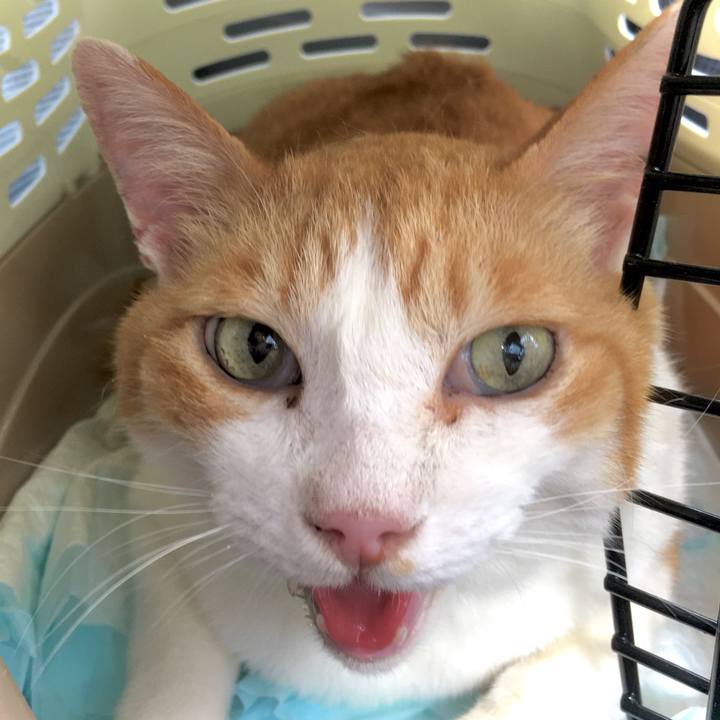 46bef6a5 58d0 4a00 a713 9436db63f740 1596857271867