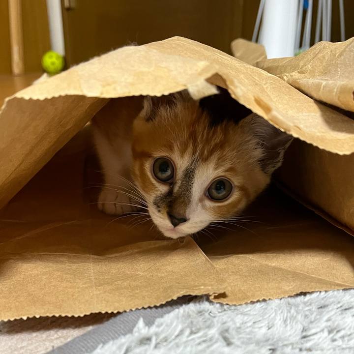 46bef84d eb15 491a b51d 47641afb283e 1654554208689