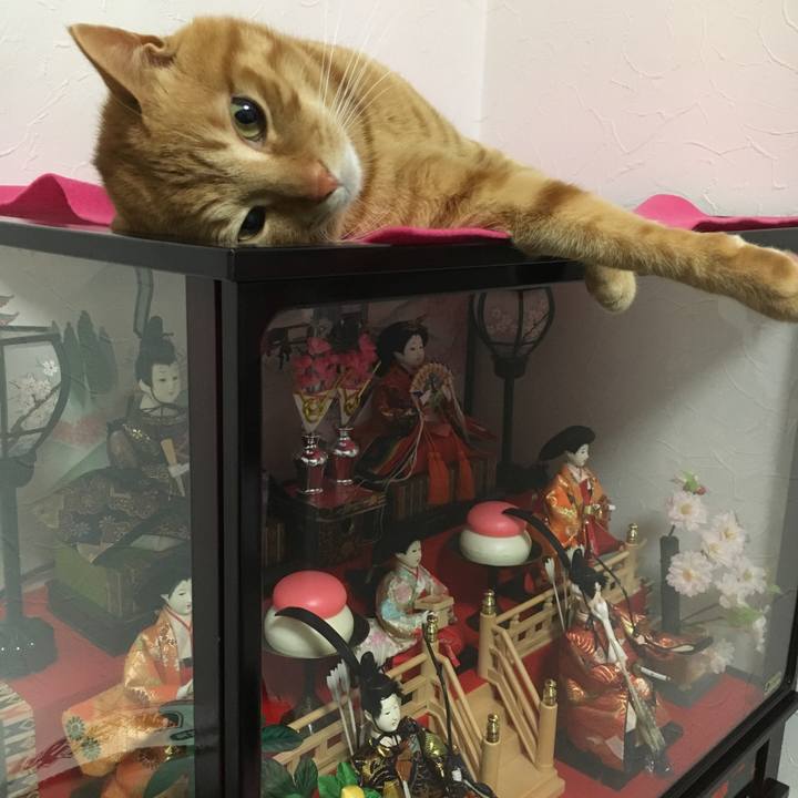 46bf369a 9a1d 4e48 86e8 8e93336dd500 1519212162553