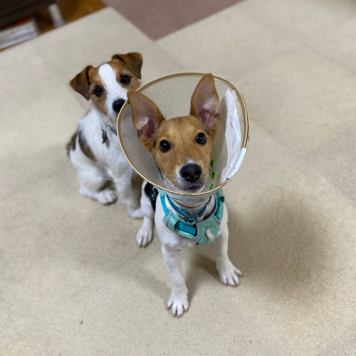 46bf5311 7c4d 414a 9b6f 7fec441935fa 1751465213773