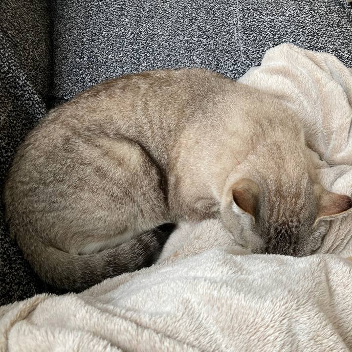 46bf576e 0404 48f3 8632 240a56dd4931 1617504876200