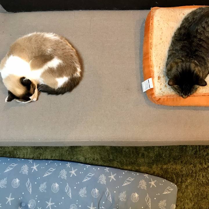 46bf6e27 ca1d 4ff9 a05d c80ea8db9273 1584622637552