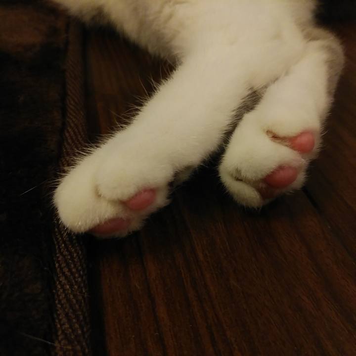 46bf73a4 b2a4 451f 9f0e fabf9b5b5f11 1572101613324