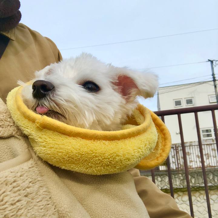 46bf8419 6cdd 4204 98d0 2e0eb778be60 1579224776134