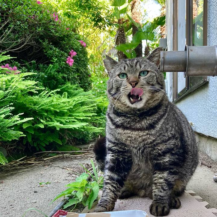 46bf866e 95e9 495c 9b08 c3145bd89e75 1654384492219