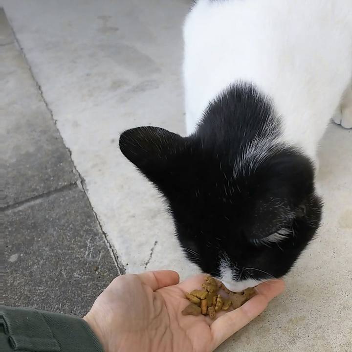 46bfda57 faba 4b05 8a9e 3b1bac977de0 1542960103929