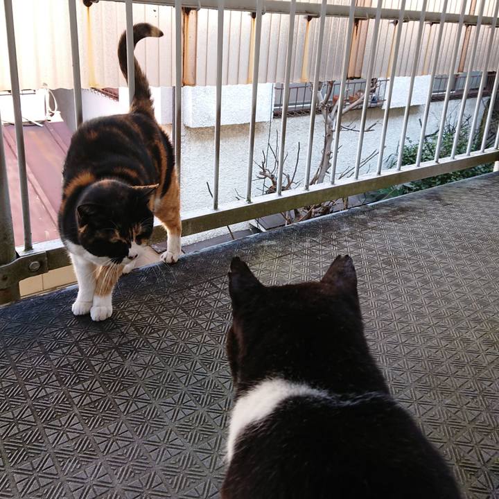 46bfde28 70a7 4819 967a 5a612eb06361 1612238948192