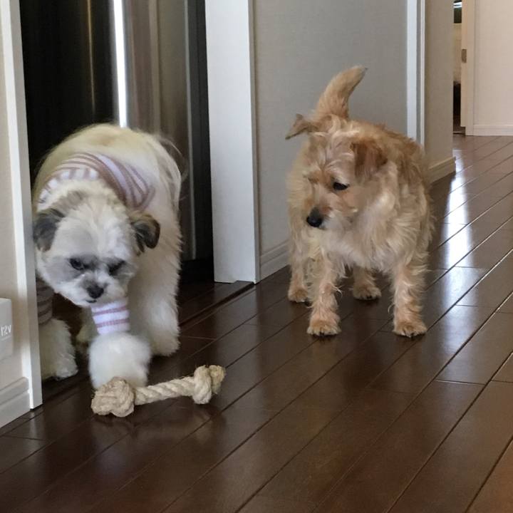 46bfffd6 87ff 44dc 8acd e82f6ee38619 1525862266389