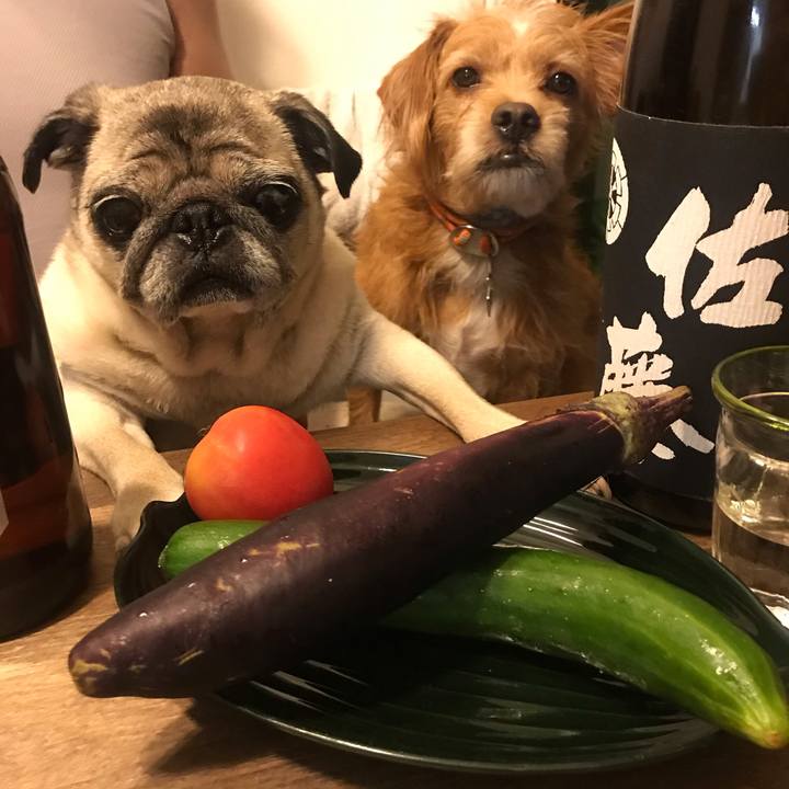 46c05760 4b6b 460c b1e2 5fc28eded25d 1597491807610