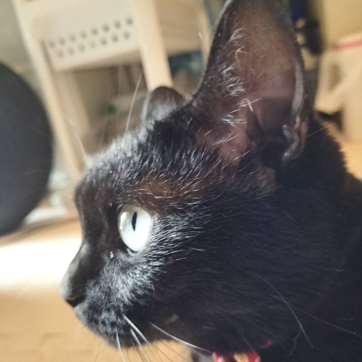 46c07184 8497 41f1 95b0 8c8ebd92df51 1657930579232