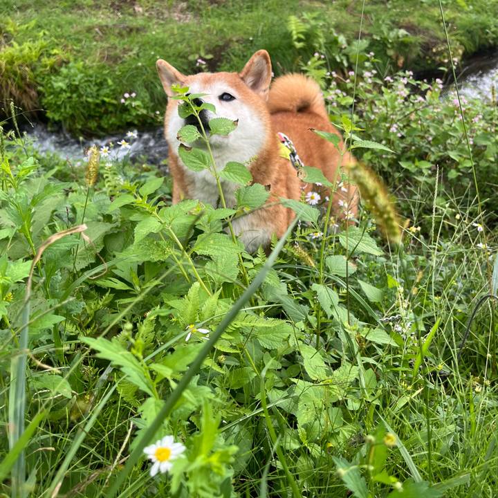 46c07b82 c764 44a2 88da 7e63313146f9 1764169484501