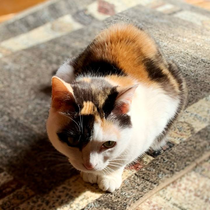 46c0ad85 f461 4beb 9f1c 34b5d8552820 1595730961825