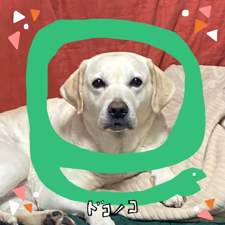 46c0c308 5d9f 4040 b559 6bdcdb3b537c 1741271131807