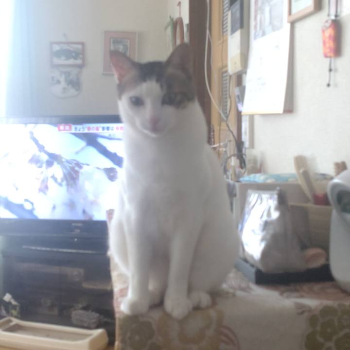 46c13401 ad02 443e 9b58 2fe33334c7e7 1710893907581