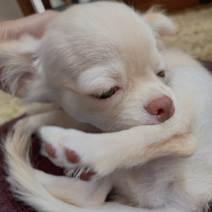 46c161c3 8023 4095 9950 ed08b370c466 1591946252603