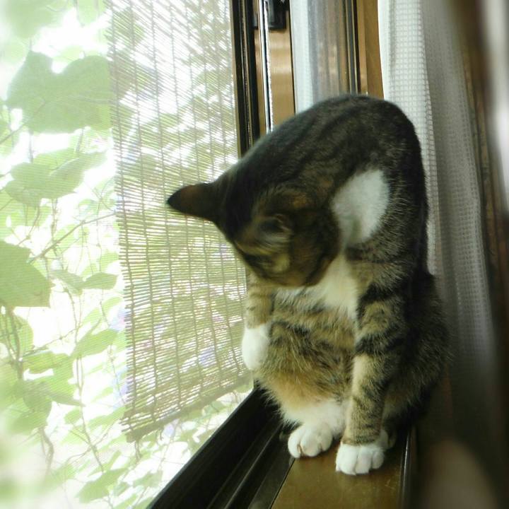 46c186a5 0b78 4290 8dac e6a11b0a00fa 1563420641680