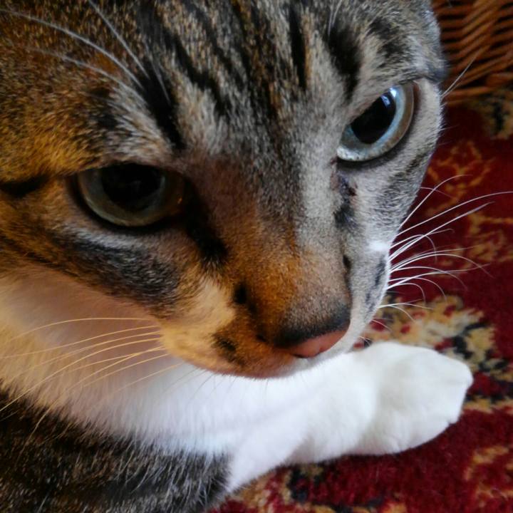 46c1c2ab 2c26 47c6 abec f9feb7a1699c 1510962744029