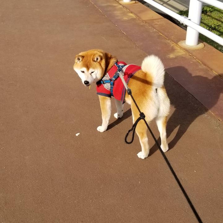 46c1cef8 ff0b 46c9 bbf5 d00b829d9d24 1554708765077