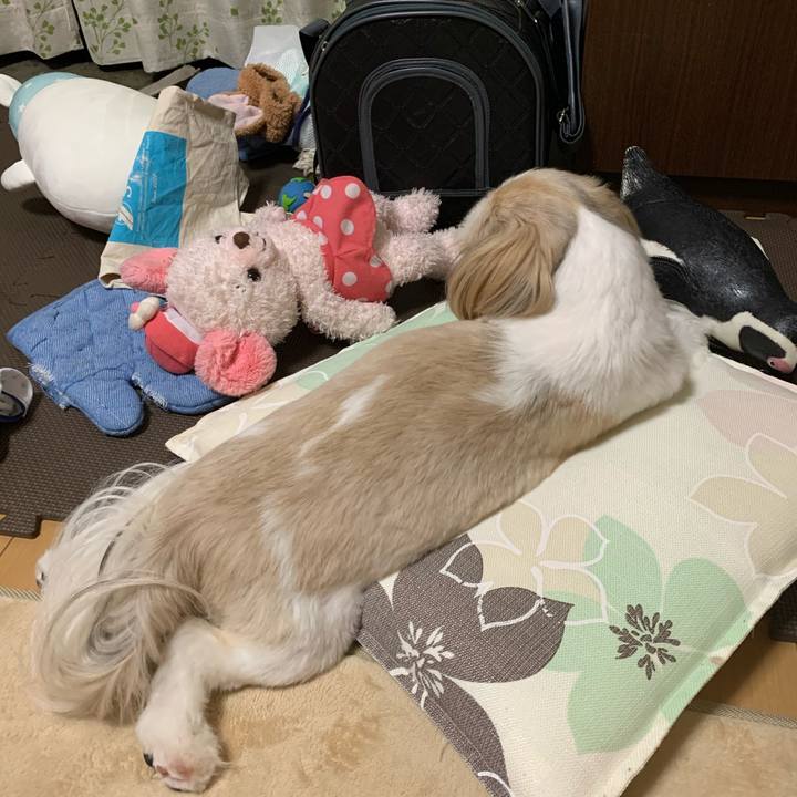 46c1db83 0e16 491f a180 cc858627d8c5 1600342496354