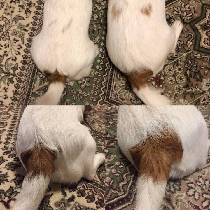 46c1fbb5 3079 4da5 9401 17d631e66088 1533991851978