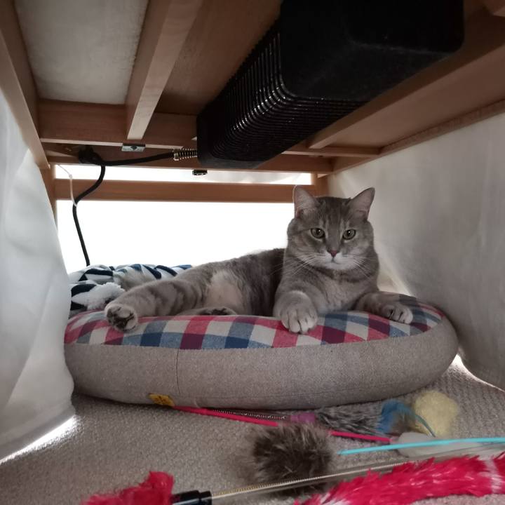 46c21a6a 1807 4e85 aa4a 1641a39f298b 1603513036577