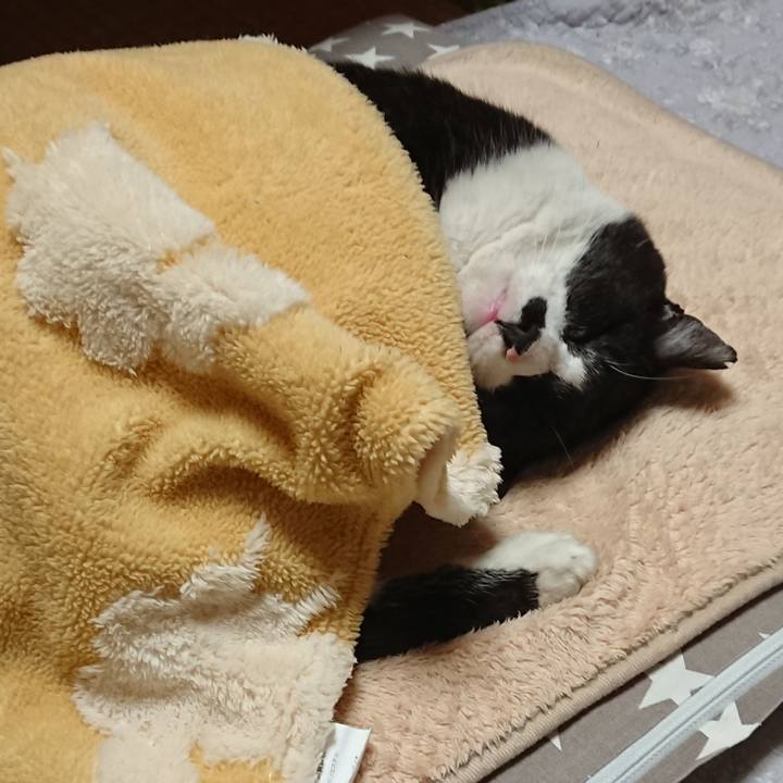 46c23fe9 35e8 4222 b886 0ca355851a53 1650014499174