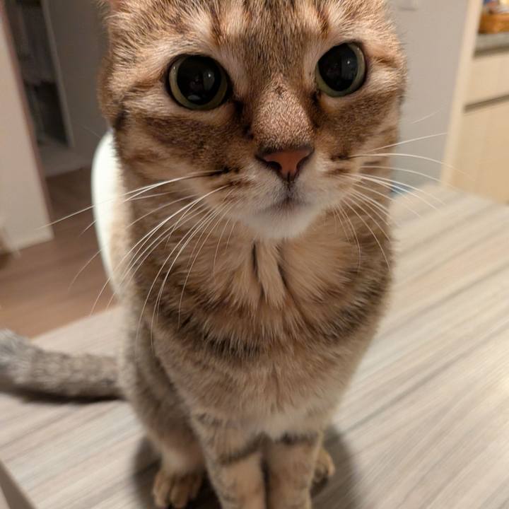 46c24558 82ca 45ed a195 3415264b392d 1763853971991