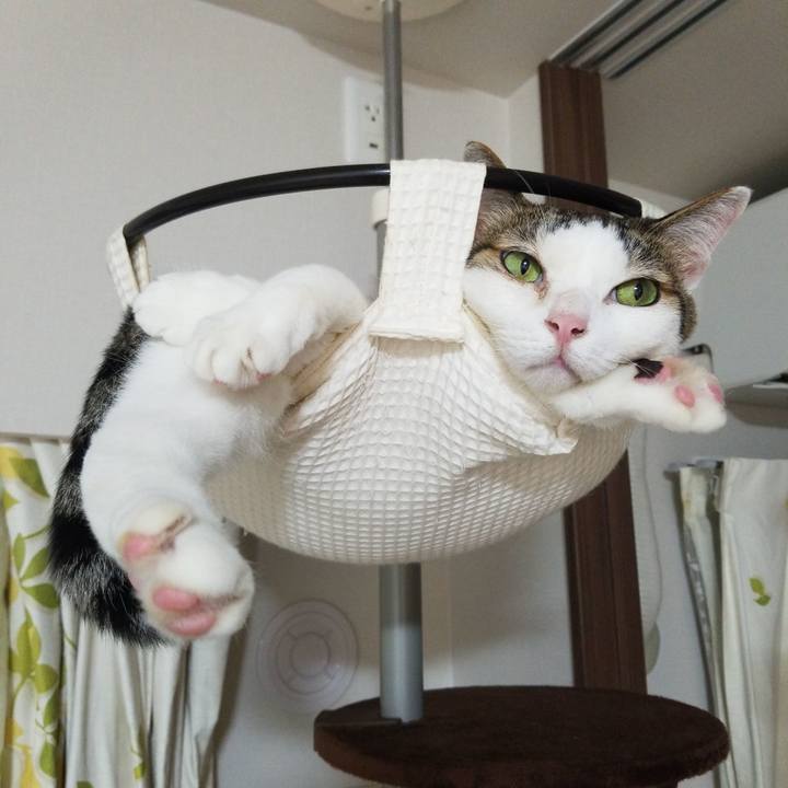 46c24696 f59f 4d12 af53 b5f75038f2ec 1596362943544