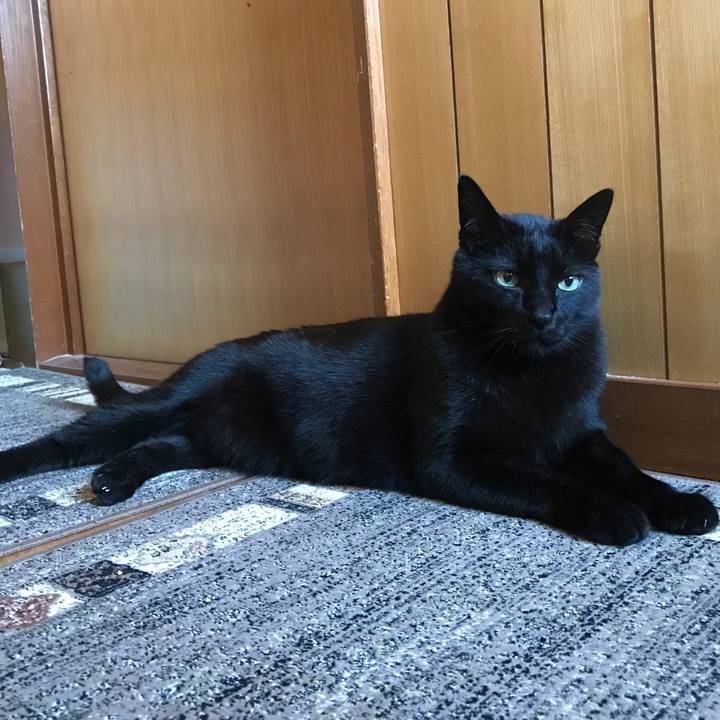 46c263b2 ec4c 4f2f 8811 c35394ba9081 1522028294640