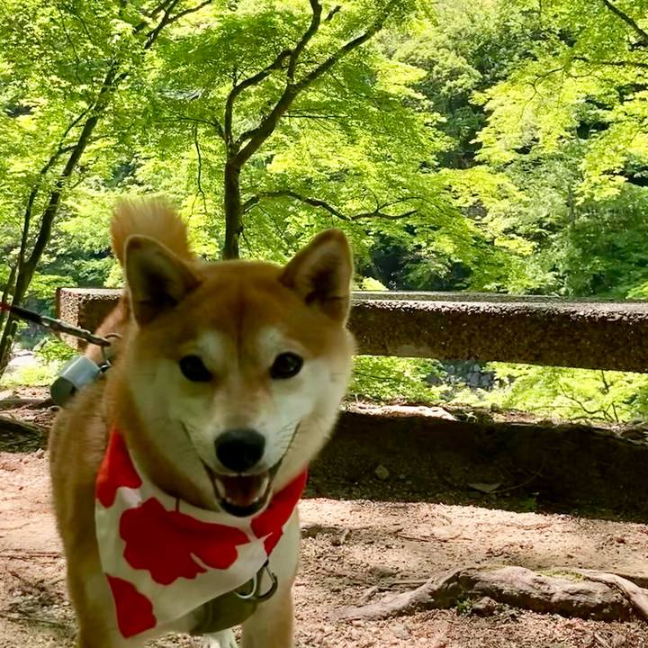 46c27840 7089 49cf 8e8a 0ba16f50c285 1651645469213