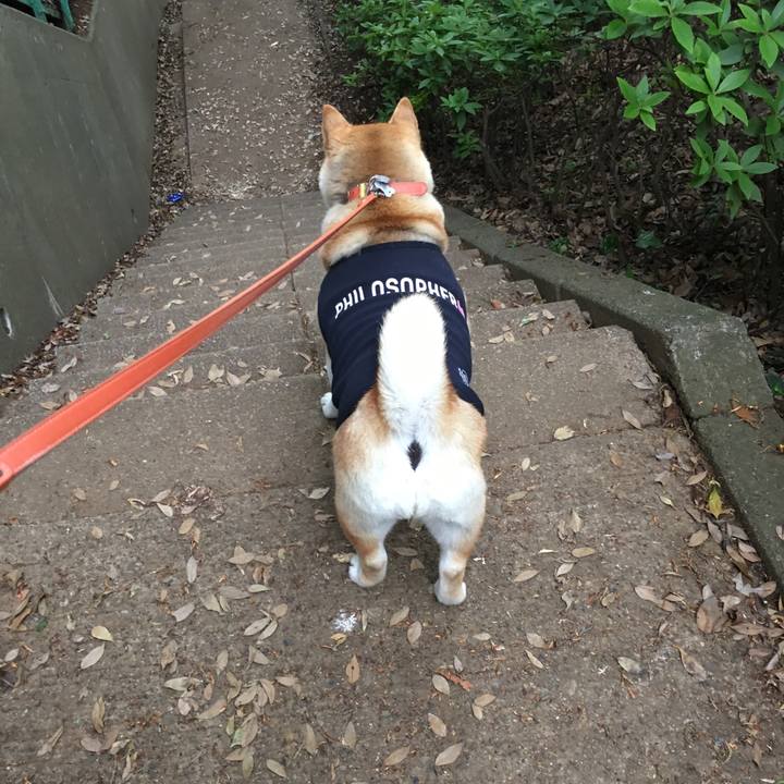 46c2840c 5a2d 45c3 a4a4 c9b09dbe211e 1556519798907