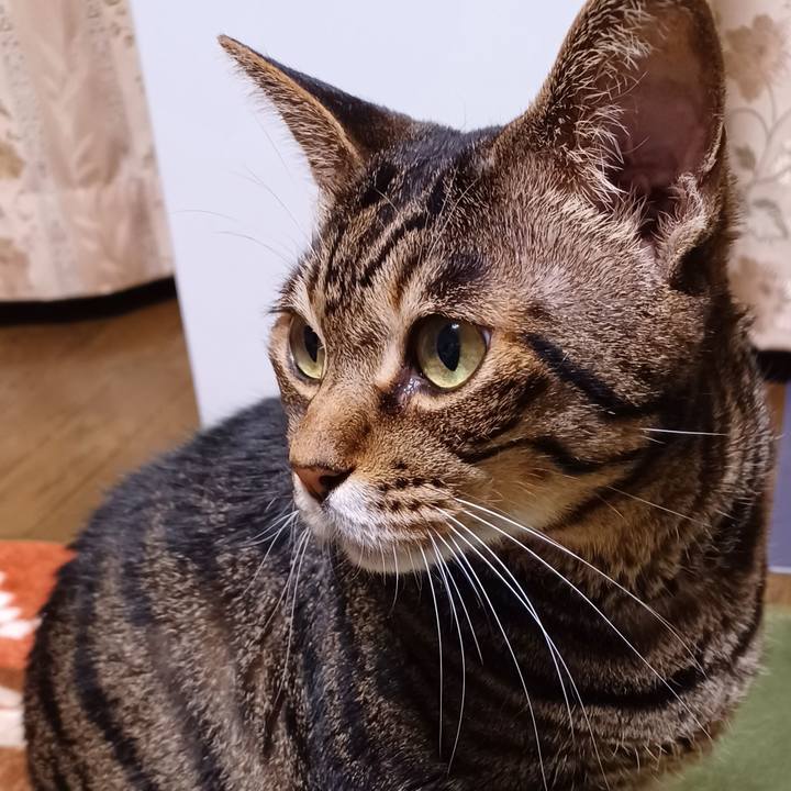 46c2870c 97e3 420d b72b 814e71641719 1691066476364