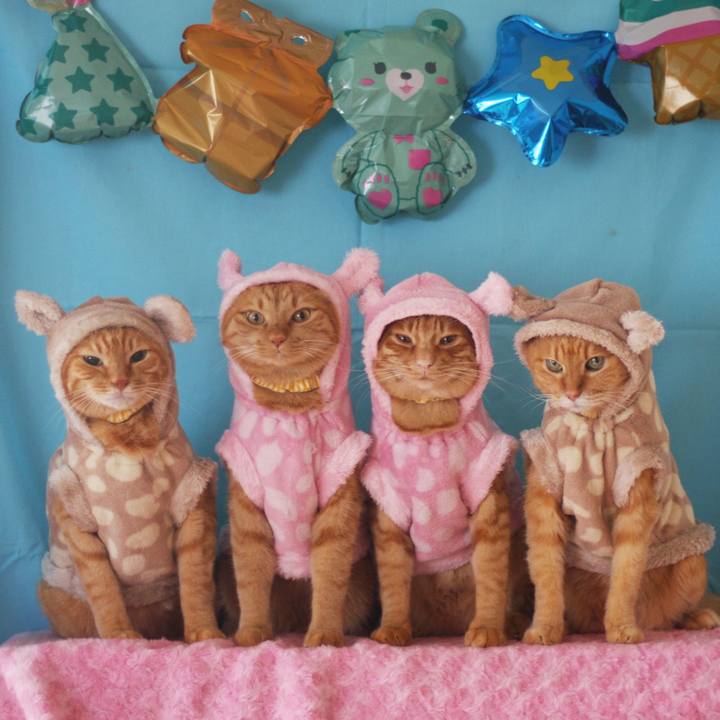 46c28a11 4f30 48e0 84d1 dc2f74197006 1715418658671